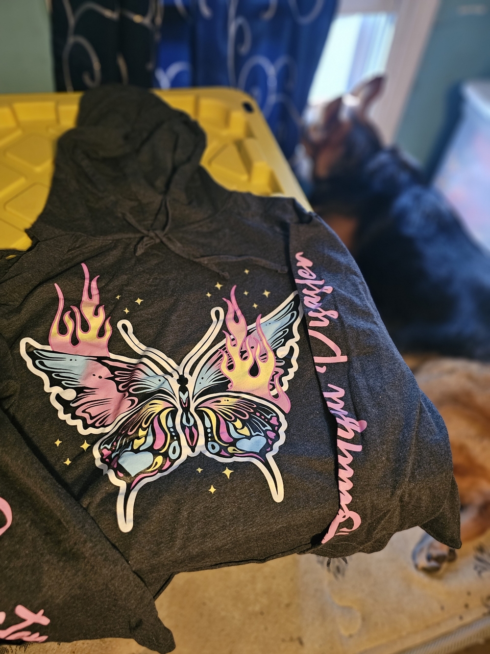 Dark Gray Long Sleeve Hoodie with Colorful Butterfly Graphic